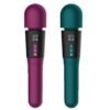 Double-headed AV Wand LCD Screen Female Warming Vibrating Wand Rechargeable