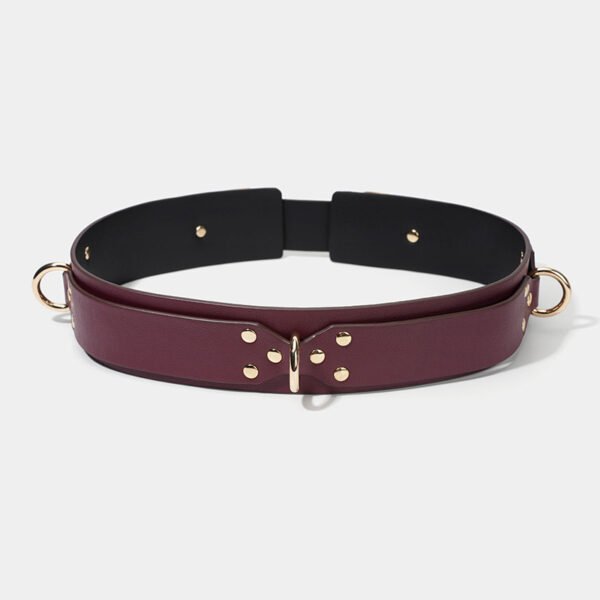 bdsm restraints kit straps