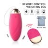 remote control love egg
