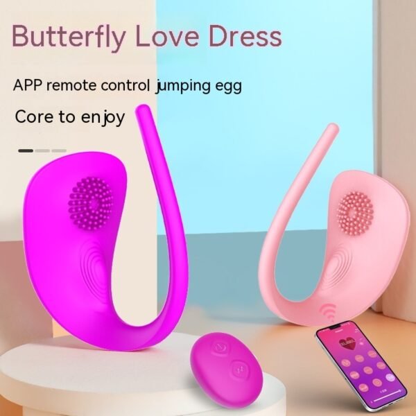 remote control love egg